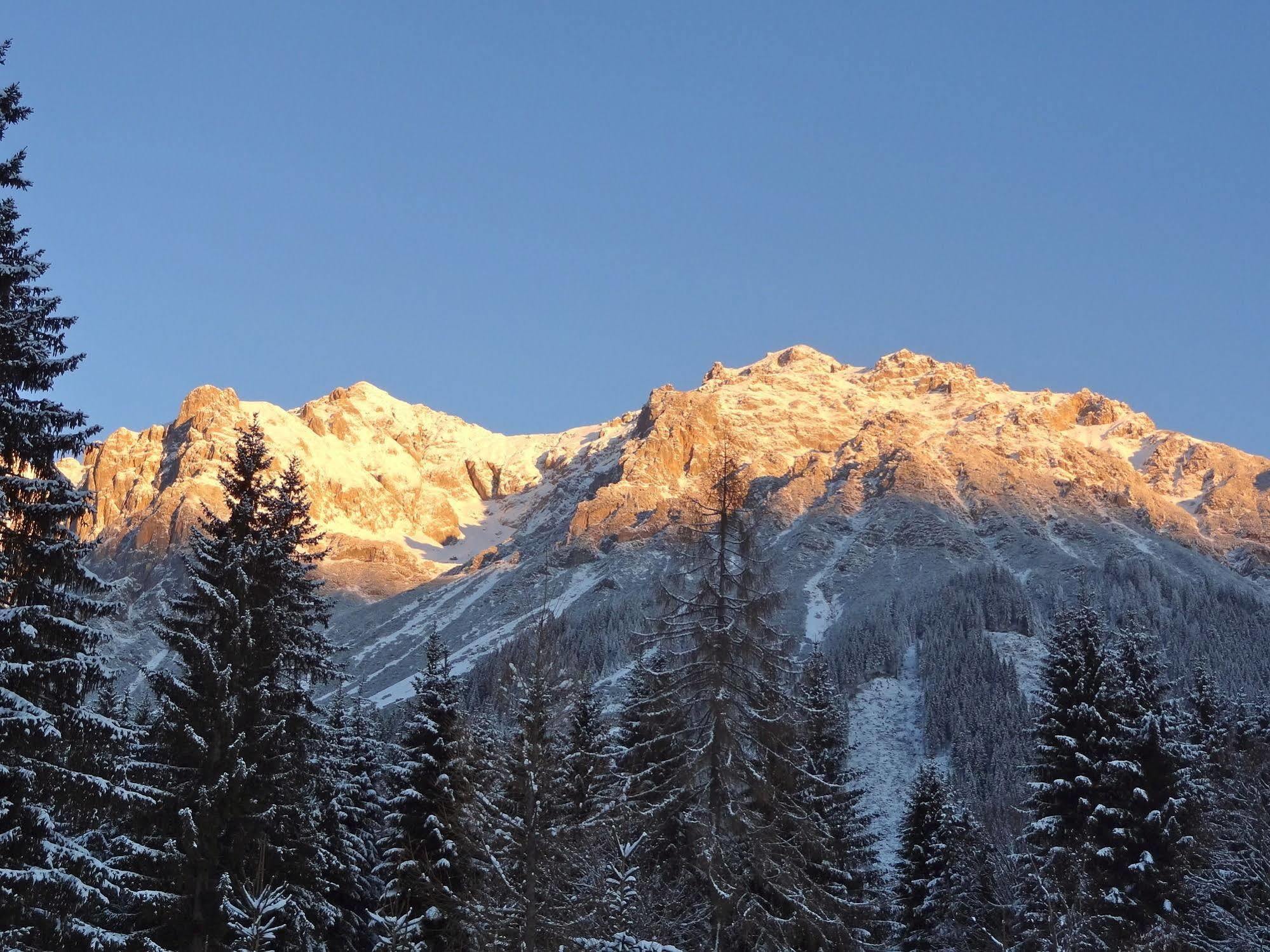 Pension Dachsteinhof Ramsau am Dachstein Εξωτερικό φωτογραφία